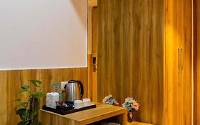 Hotel Airport Hilton Sky Igi Delhi Airport Terminal- 3 With Free Airport Pickup